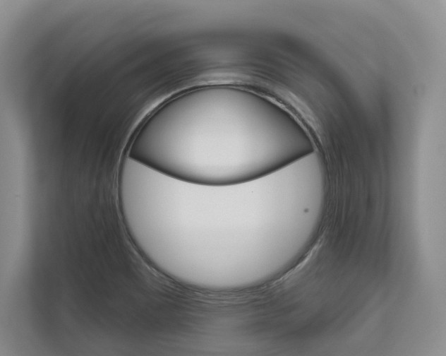 X0000113001465200908270910
