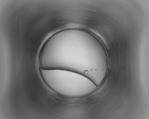 X0000113001467200908270910