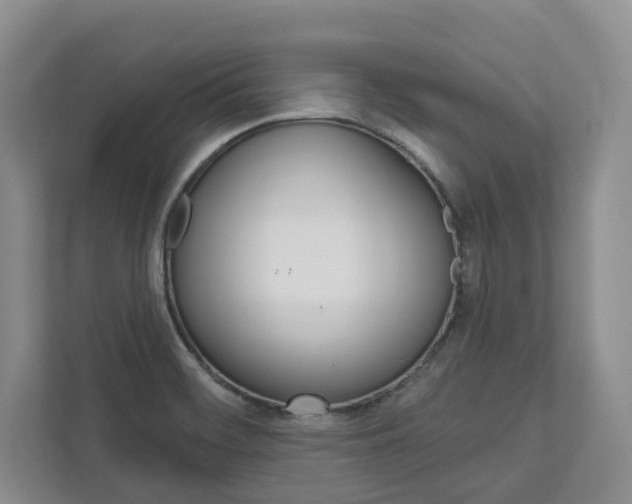 X0000113001468200908270910