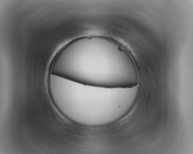 X0000113001469200908270910