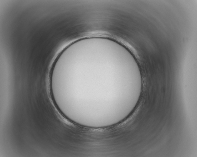 X0000113001470200908270910