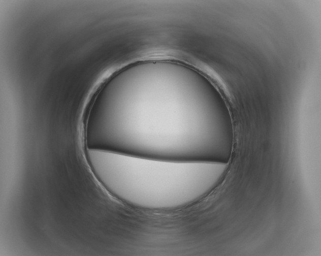 X0000113001472200908270910