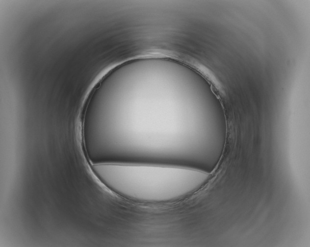 X0000113001476200908270910