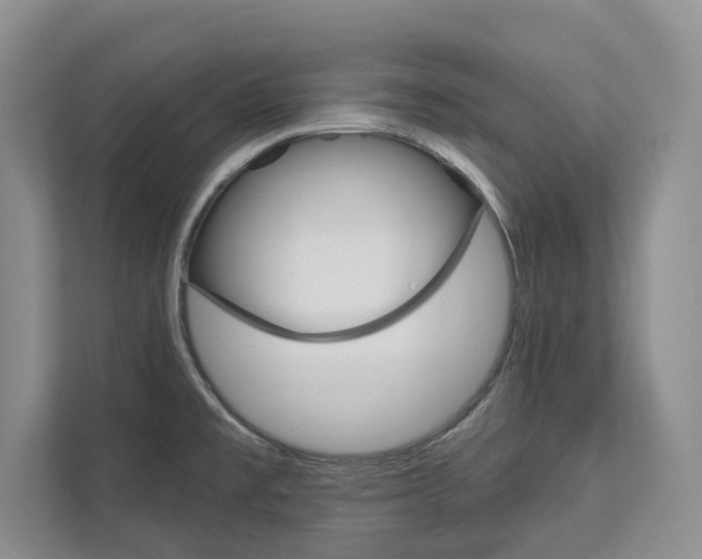 X0000113001477200908270910