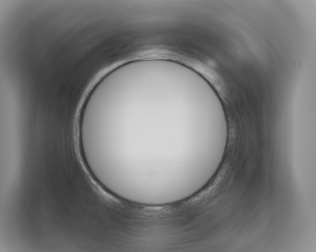 X0000113001478200908270910