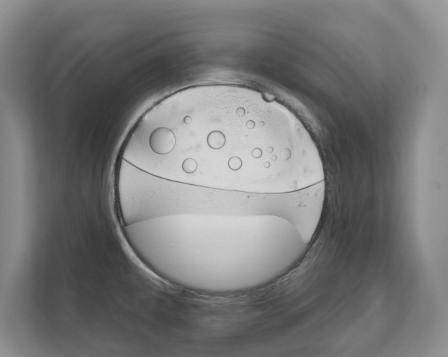X0000113001479200908270910
