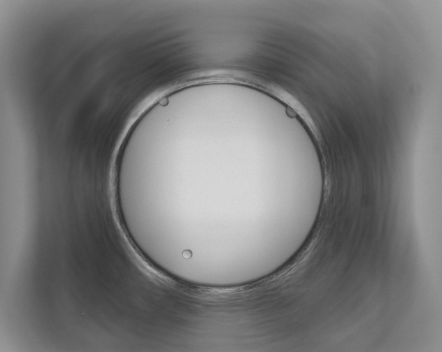 X0000113001482200908270910
