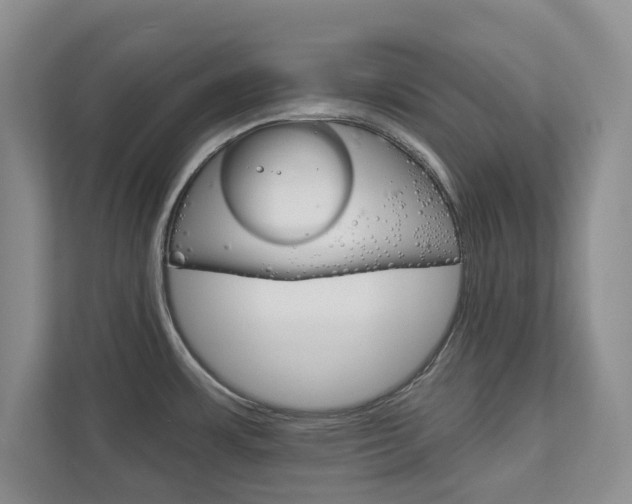 X0000113001483200908270910