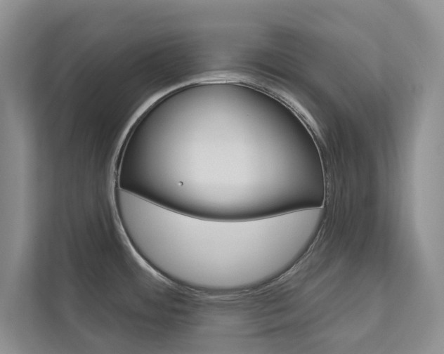 X0000113001484200908270909