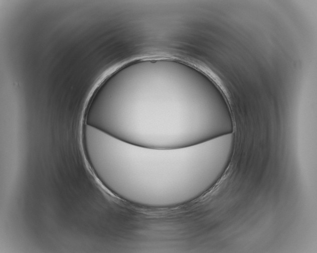 X0000113001485200908270909