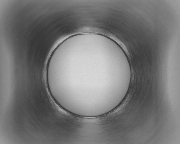 X0000113001486200908270909