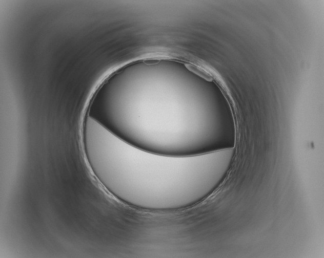 X0000113001488200908270909