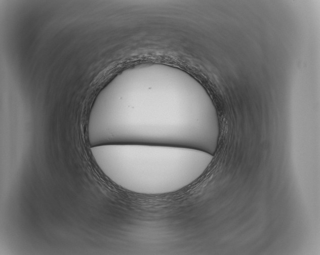 X0000113001489200908270909
