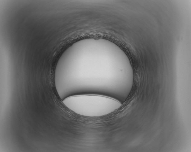 X0000113001490200908270909