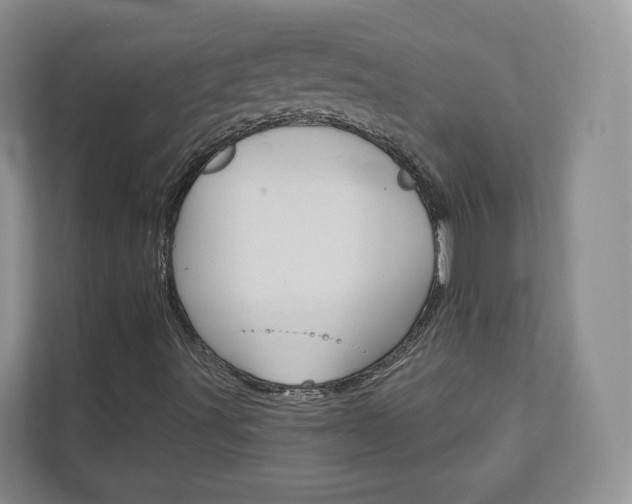 X0000113001491200908270909