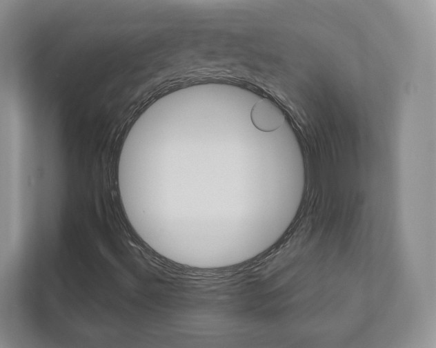 X0000113001492200908270909