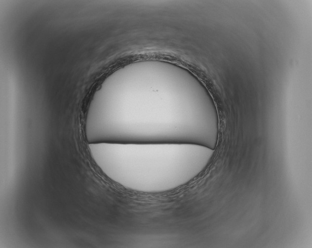 X0000113001493200908270909