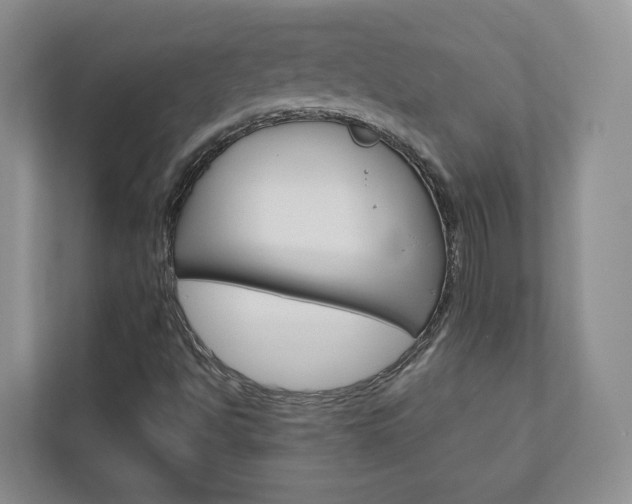 X0000113001494200908270909