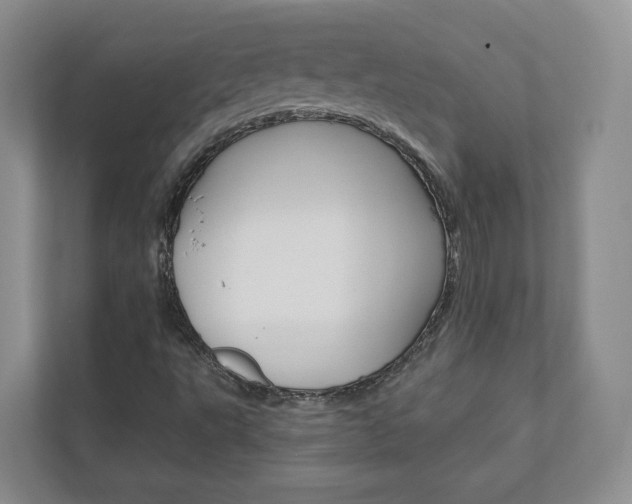 X0000113001495200908270909