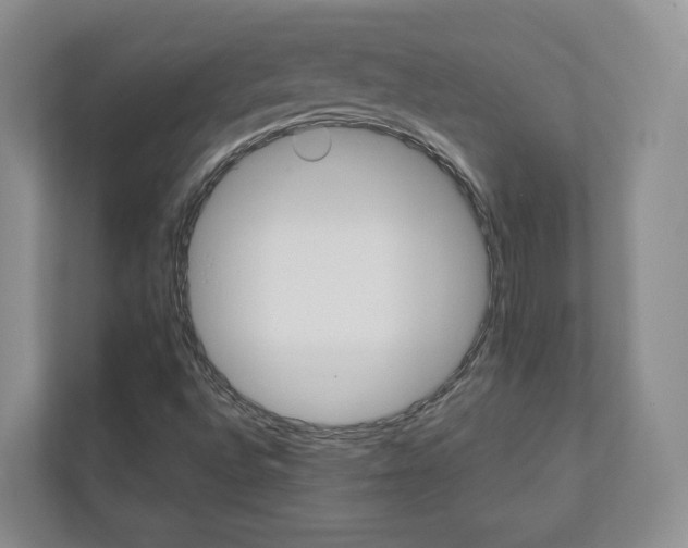 X0000113001496200908270909