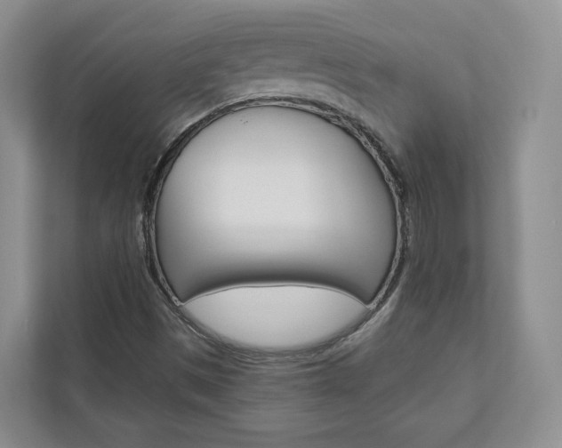 X0000113001497200908270909