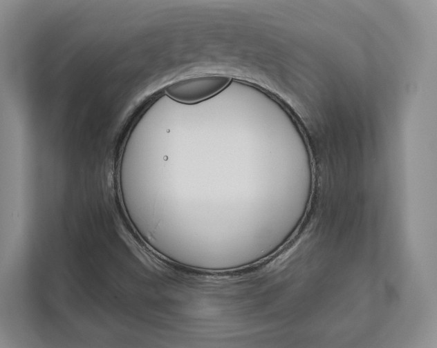 X0000113001499200908270909