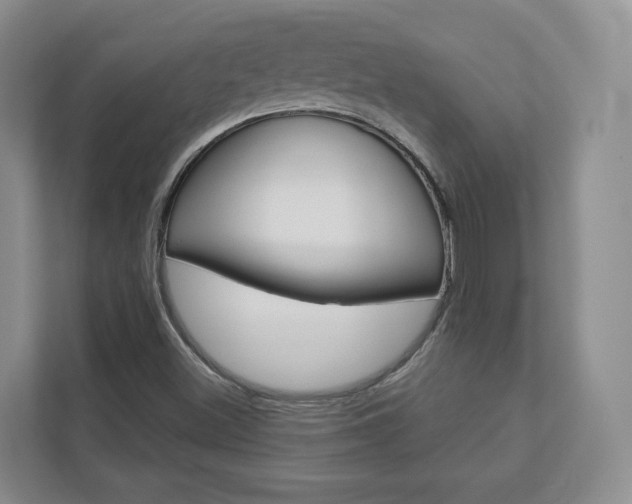 X0000113001500200908270909