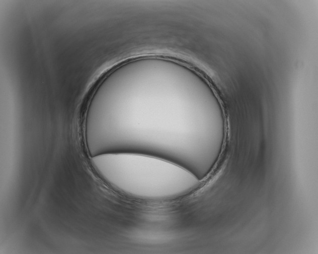 X0000113001501200908270909