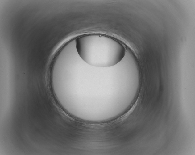 X0000113001502200908270909