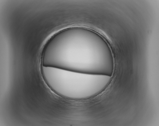 X0000113001504200908270909