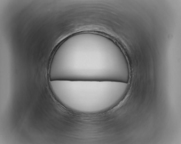 X0000113001505200908270909