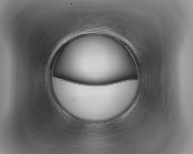 X0000113001506200908270909