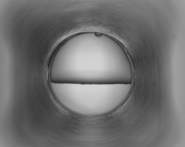 X0000113001507200908270909