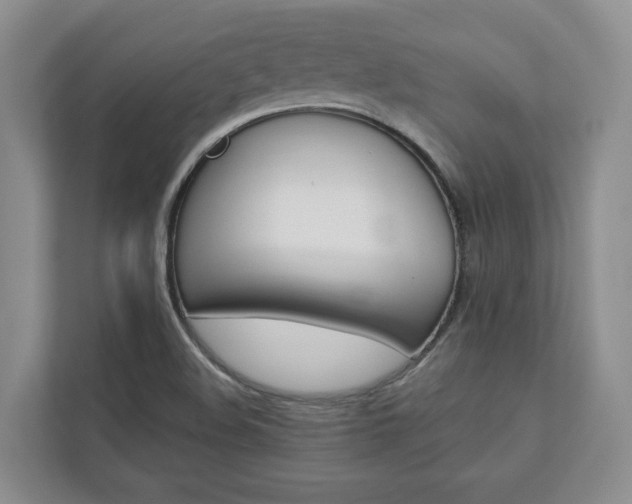 X0000113001508200908270909