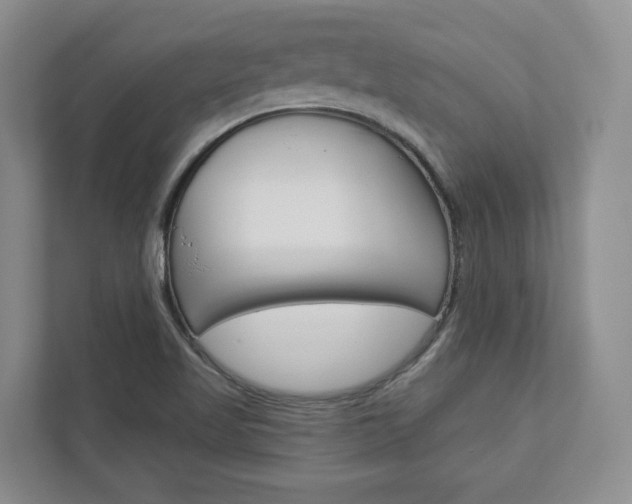 X0000113001509200908270909