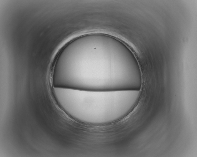 X0000113001510200908270909