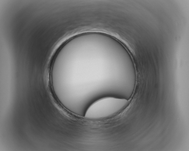 X0000113001511200908270909