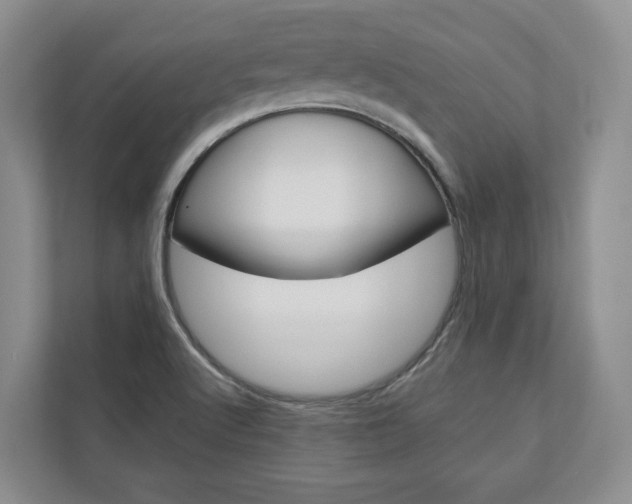 X0000113001512200908270909