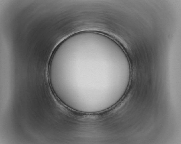 X0000113001513200908270909