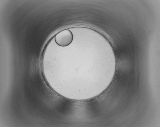 X0000113001514200908270909