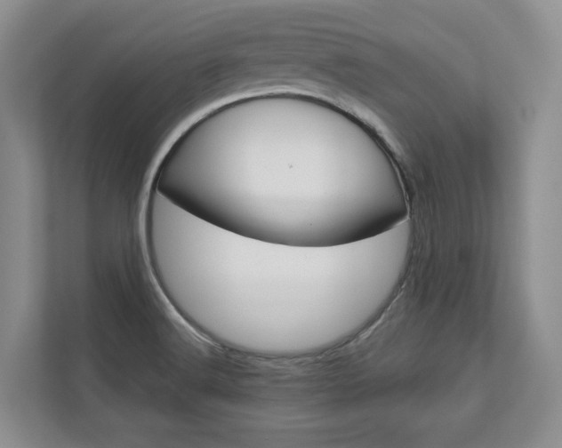 X0000113001516200908270909