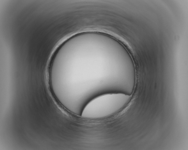 X0000113001517200908270909