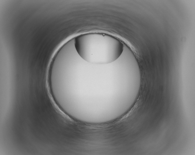 X0000113001518200908270909