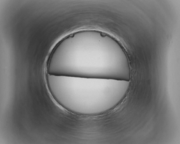 X0000113001519200908270909