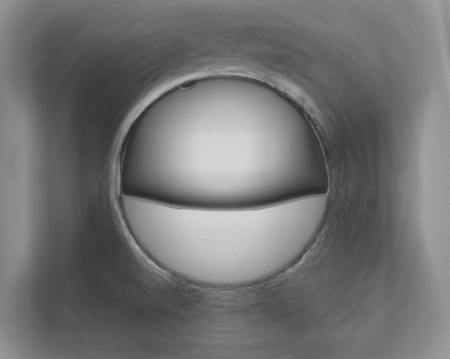 X0000113001520200908270909