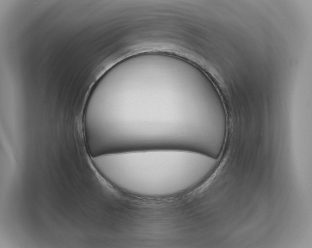 X0000113001521200908270909