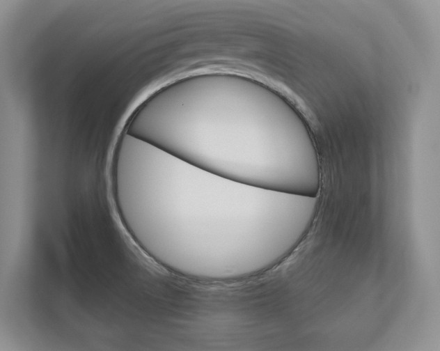 X0000113001522200908270909