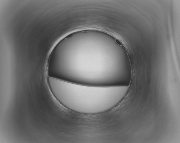 X0000113001524200908270909