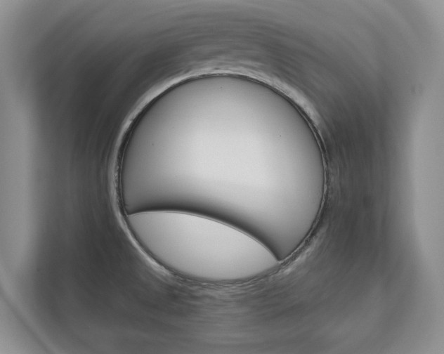 X0000113001525200908270909