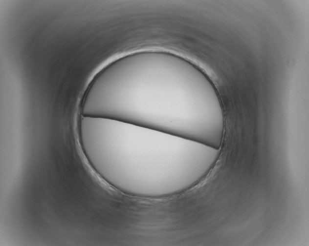 X0000113001526200908270909